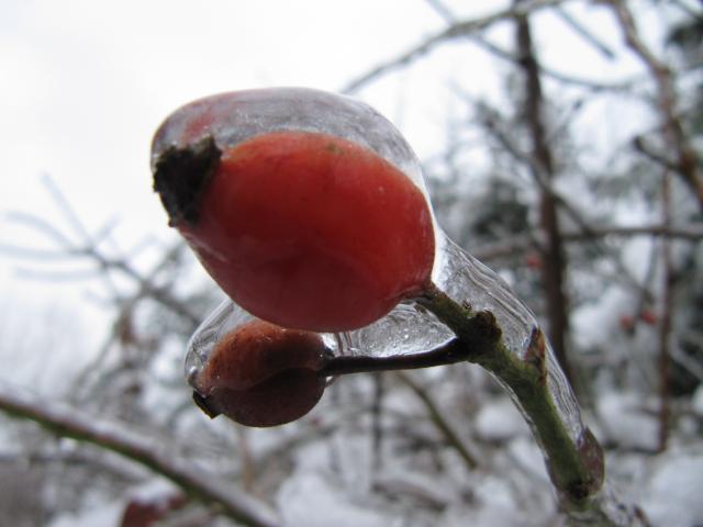 Fotografická soutěž